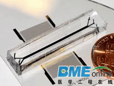 1428469921ee5ac7b7a6629642.gif 1428469921ee5ac7b7a6629642.gif